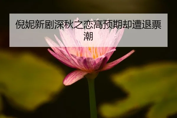 倪妮新剧深秋之恋高预期却遭退票潮